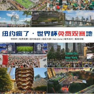 纽约看世界杯氛围真好！别错过这些观赛点...