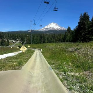💙Mt. Hood | 1 Day Ro...
