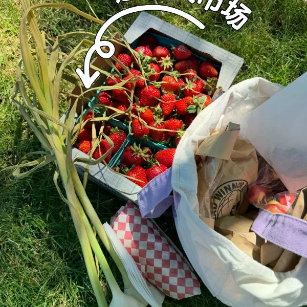 笔记图片