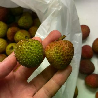 🇩🇪荔枝测评