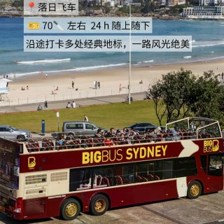 来悉尼后才懂什么叫低成本快乐...