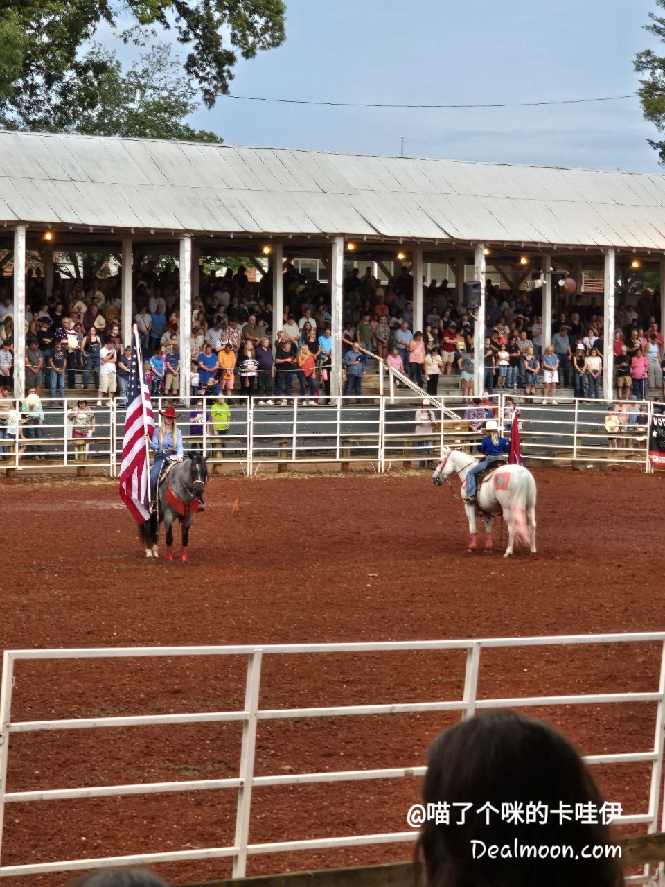 第一次现场看美国 Rodeo 🤠...