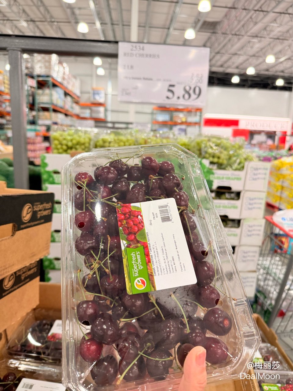 Costco 樱桃打折了...