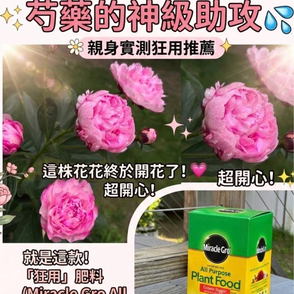 笔记图片