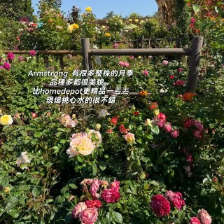 種花讓人開心🌸🪴🪻...