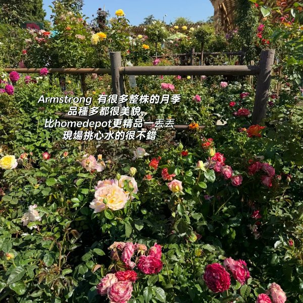 笔记图片
