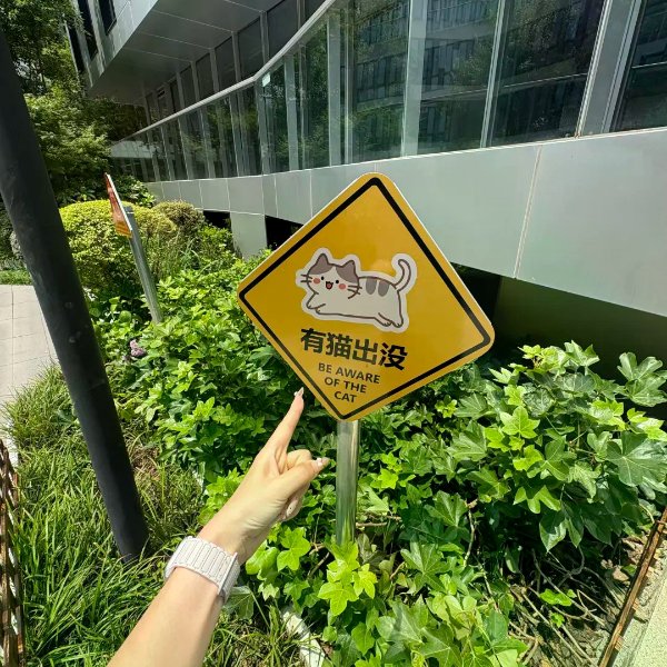 笔记图片