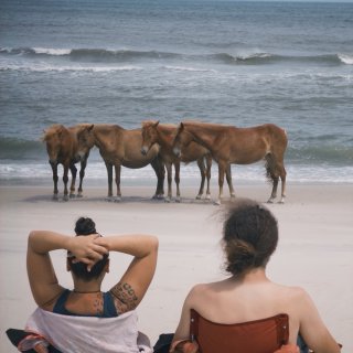DMV 人的夏天都去哪？Ocean Ci...