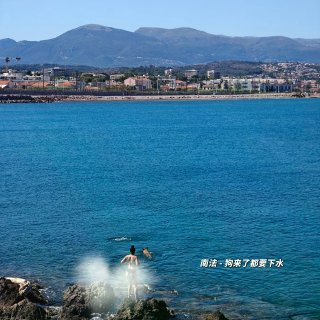 南法蜜月| 不如在夏日的Antibes下...