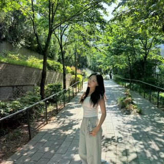 🇰🇷Seoul PLOG☆₊⁺₊⁺...