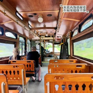 休斯顿竟然有免费的复古铛铛车🚌✨...