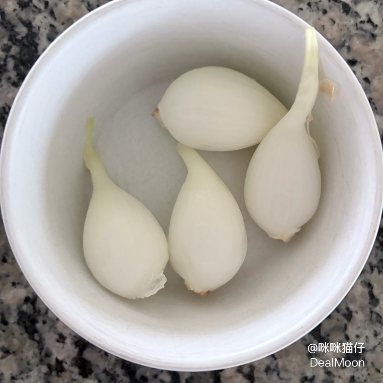 阳台种菜记：洋葱🧅...