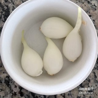 阳台种菜记：洋葱🧅...