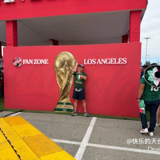 去看世界杯赛🏆的球场🏟️...
