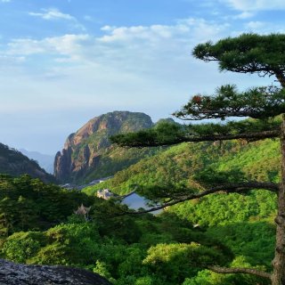 黄山：都不白来嗷！使劲爬就完了...