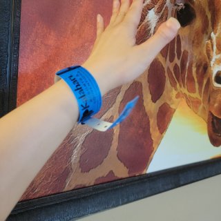 Kalahari Resorts & C...