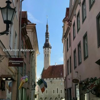🇪🇪塔林一日游，都去买蓝色帆布袋...