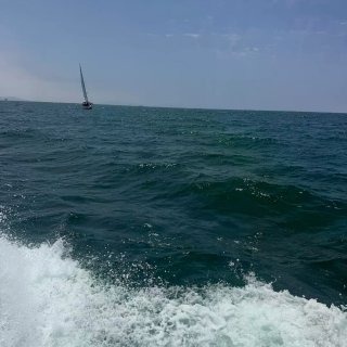 99%南加人不知道的小众海岛 美到像世界...