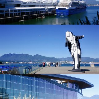 BC｜温哥华夏季旅行｜世界杯期间的特别装...