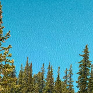 Banff四天三晚(下)|不踩雷路线🚙🏔...