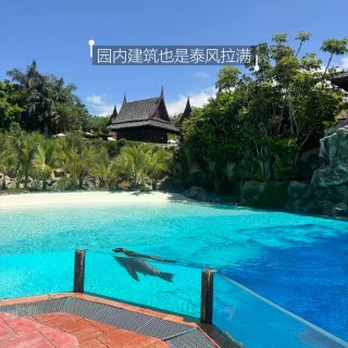 Tenerife穷游旅行美食日记plog...