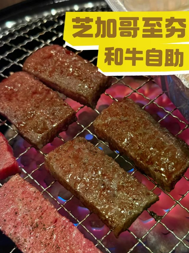 好好吃!! 近期吃过芝加哥的烤肉t...