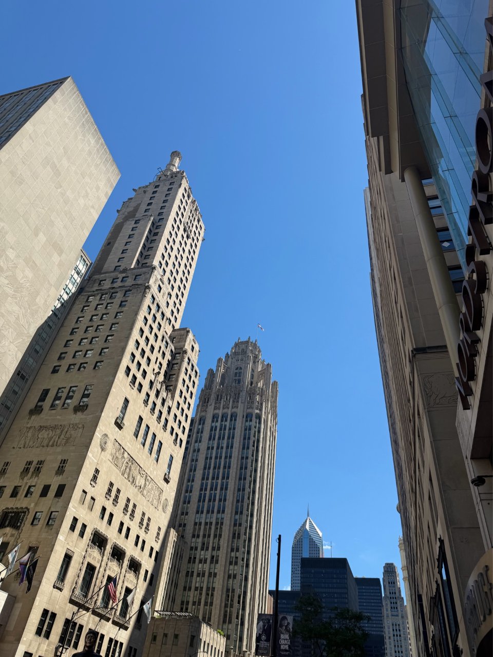 仲夏3