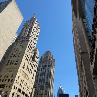 仲夏3