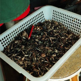 云南吃野生菌，亲眼目睹救护车上门拉人……...
