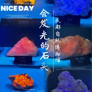 成都自然博物馆｜宝石+恐龙一站式搞定！...