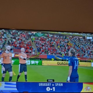 西班牙 vs 乌拉圭 1：0...