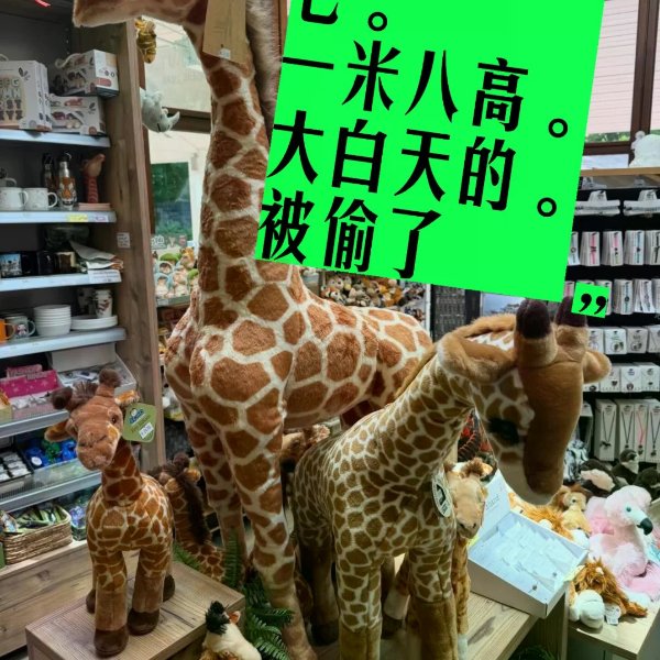 笔记图片