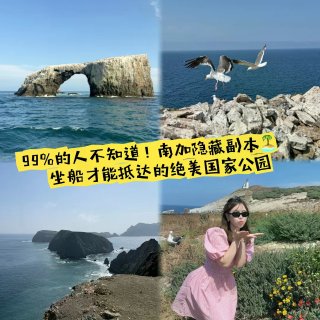 99%南加人不知道的小众海岛 美到像世界...