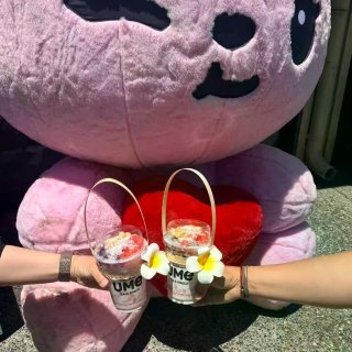 UME 泡鲁达 get