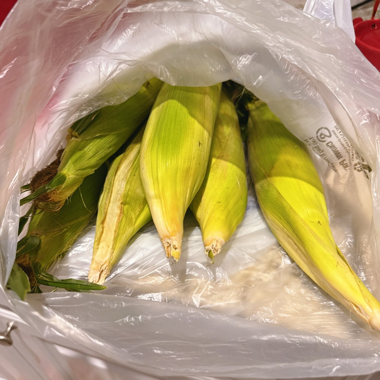 Tom Thumb｜玉米🌽on sale...