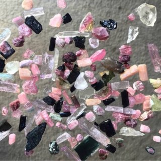 圣地亚哥｜带娃挖宝藏💎好地方😍👍...