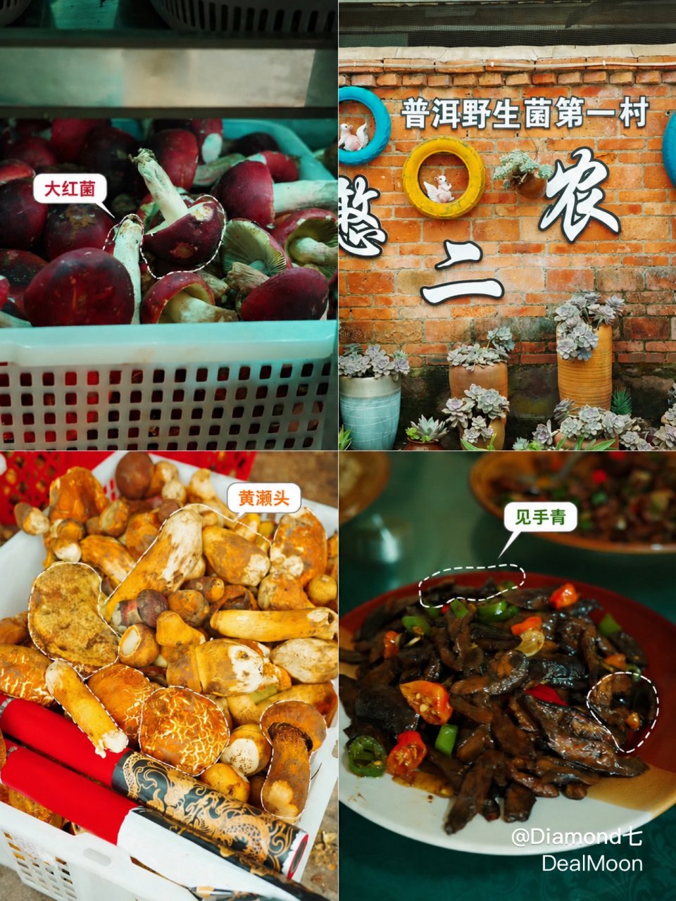 云南吃野生菌，亲眼目睹救护车上门拉人……...