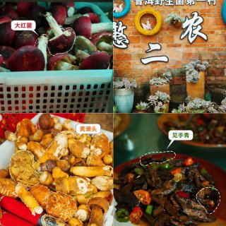 云南吃野生菌，亲眼目睹救护车上门拉人……...