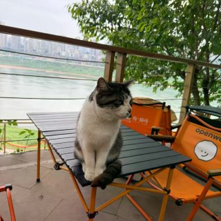 外國朋友預約不了怎麼進園？...