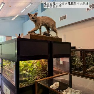 休斯顿｜40℃也能遛娃！✨空调+免费+自...