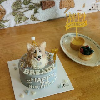 祝小面包！7岁快乐🎂🍞...