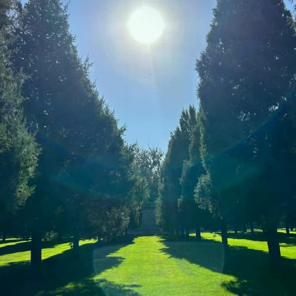 笔记图片