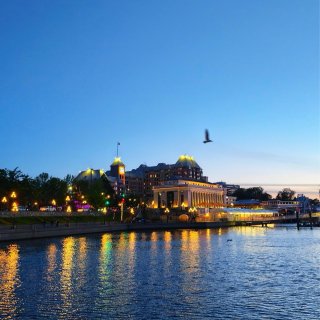 阿拉斯Cruise | Victoria...