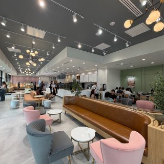 McKinney 的多乐之日开业了！店里...