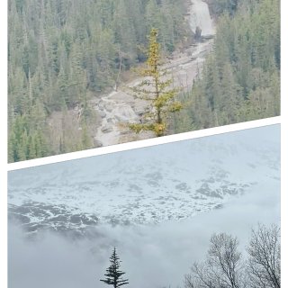 Alaska Cruise 第二站 Sk...
