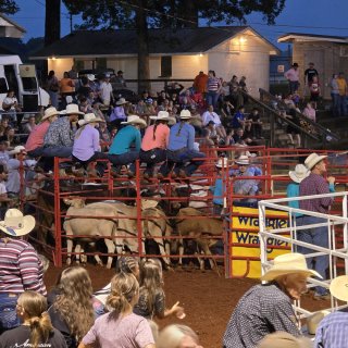 第一次现场看美国 Rodeo 🤠...