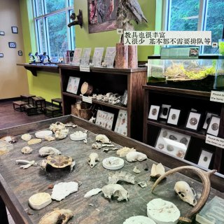 休斯顿｜40℃也能遛娃！✨空调+免费+自...