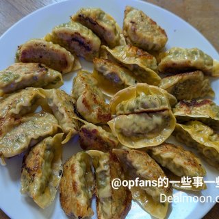 茴香猪肉馅饺子...