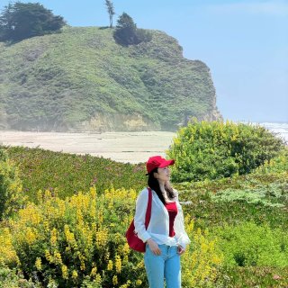 湾区👩🏻‍💻oncall结束去海边冷静一...
