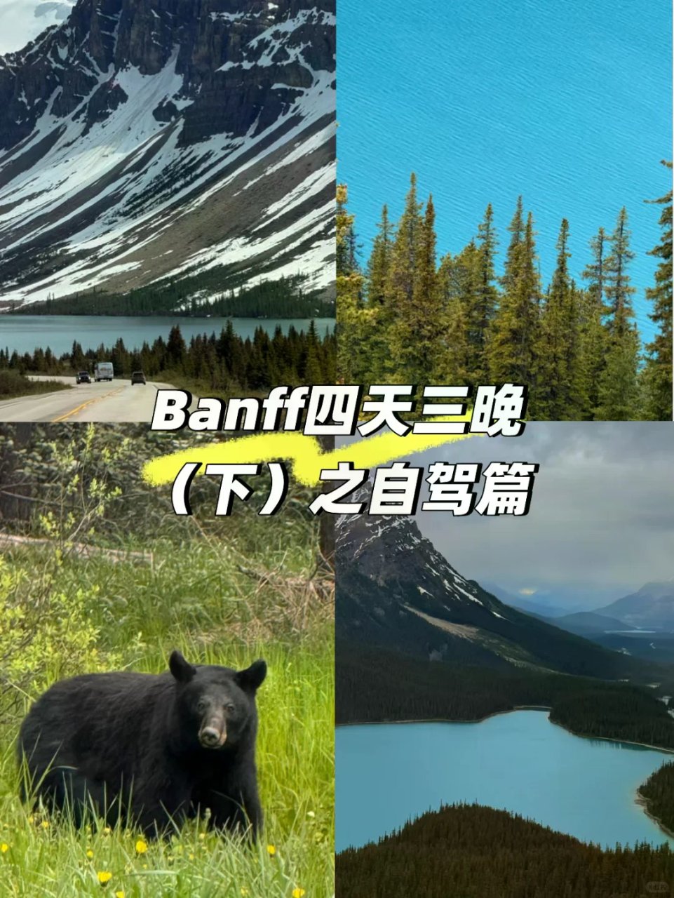 Banff四天三晚(下)|不踩雷路线🚙🏔...